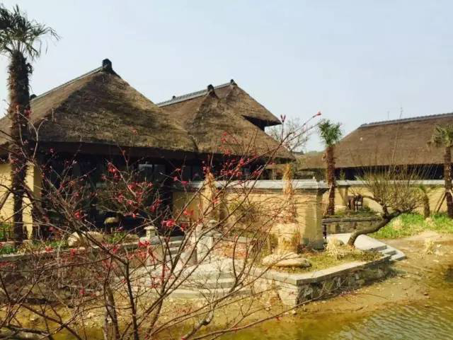 首页- 南宫NG28国际集团官方网站