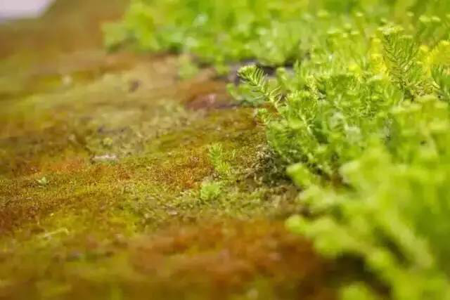 首页- 南宫NG28国际集团官方网站